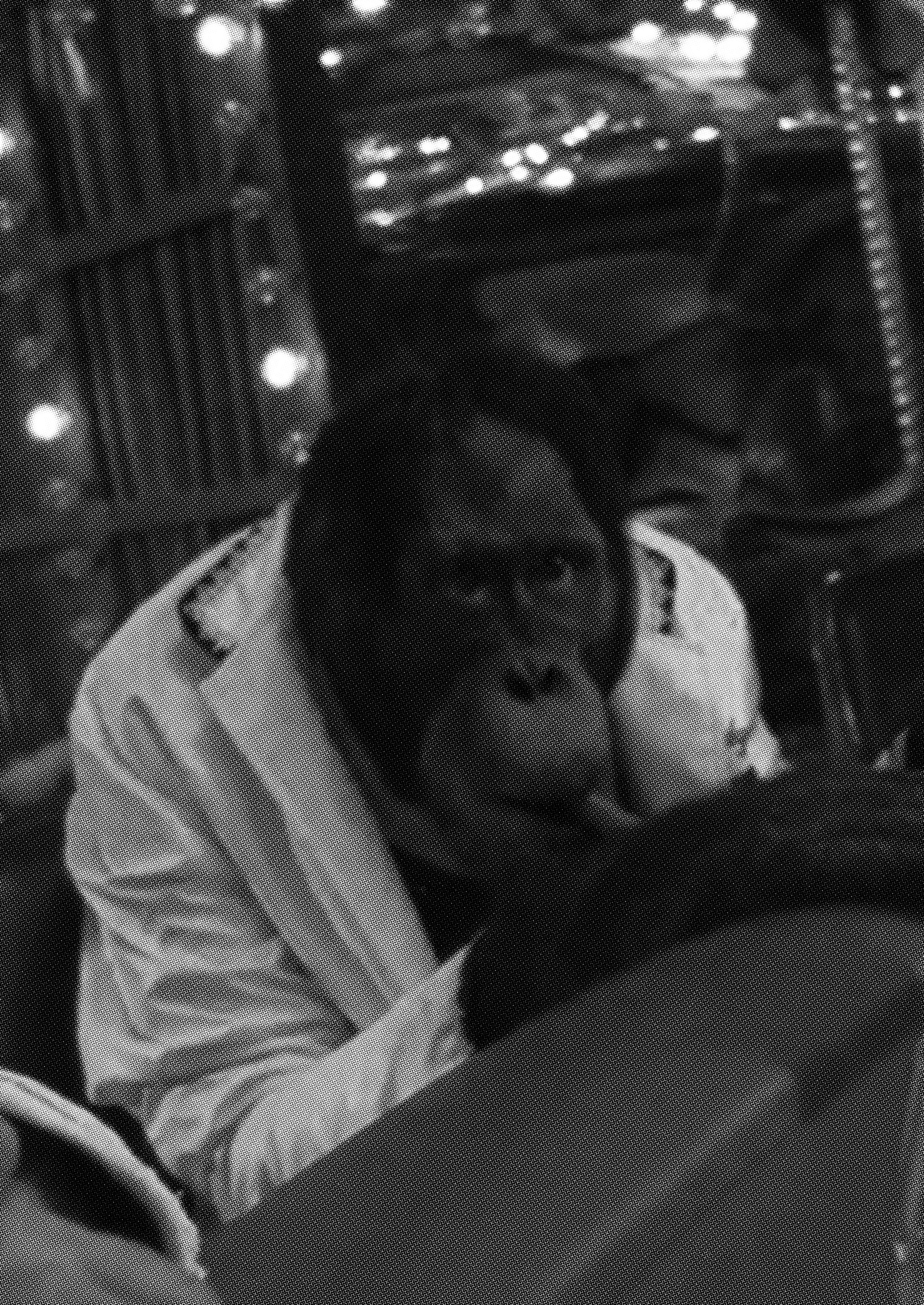 ape